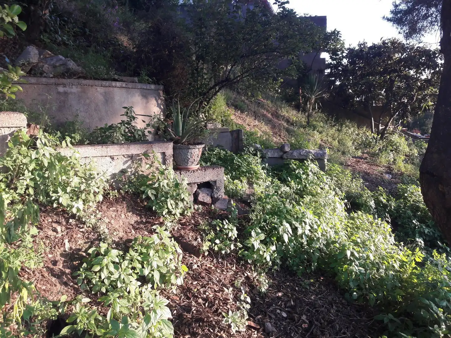 Terrenos y solares en venta en Pere Calders, imagen 21