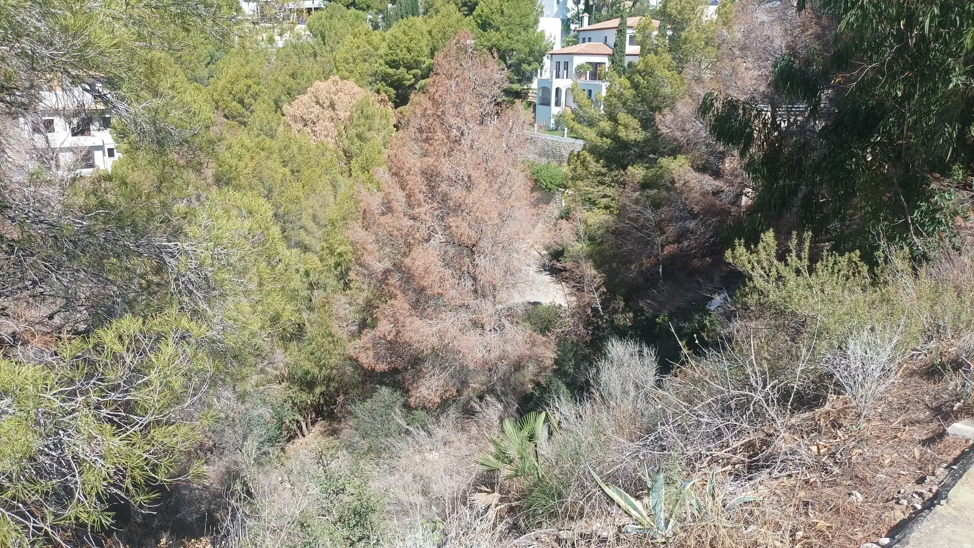 Terrenys i solars en venda a Altea la Vella, imagen 6
