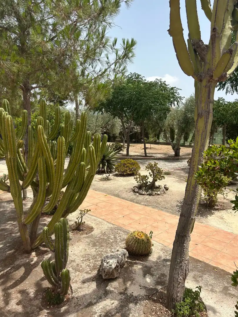 Jardí de Casa o xalet en venda en San Vicente del Raspeig / Sant Vicent del Raspeig amb Aire condicionat, Calefacció i Jardí privat