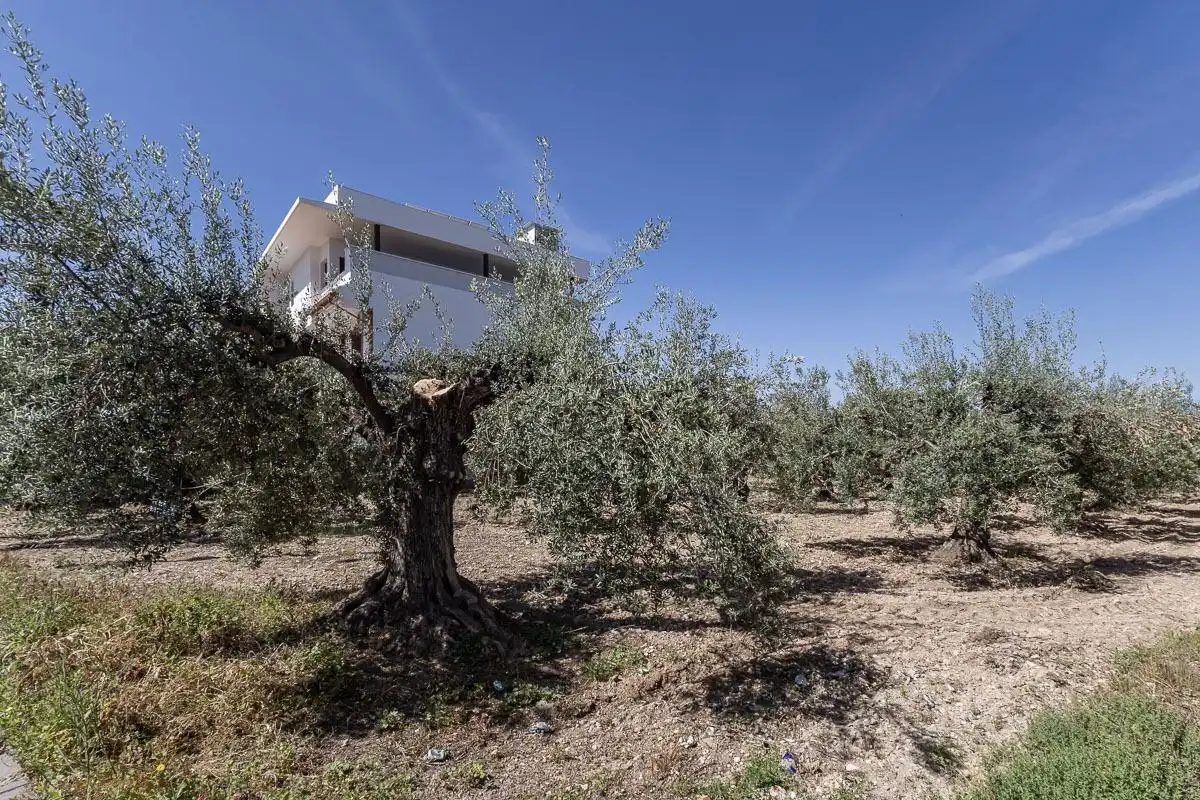 Residential for sale in Gójar