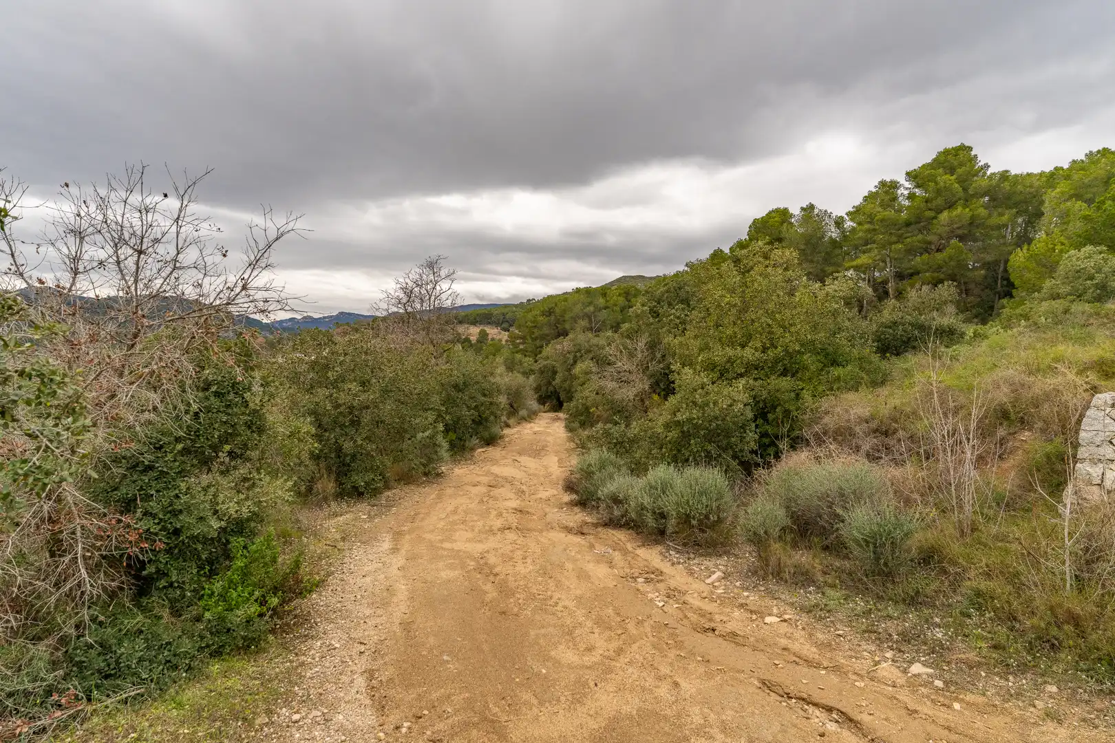 Finca rústica en venda en Les Borges del Camp amb Jardí privat, Terrassa i Traster