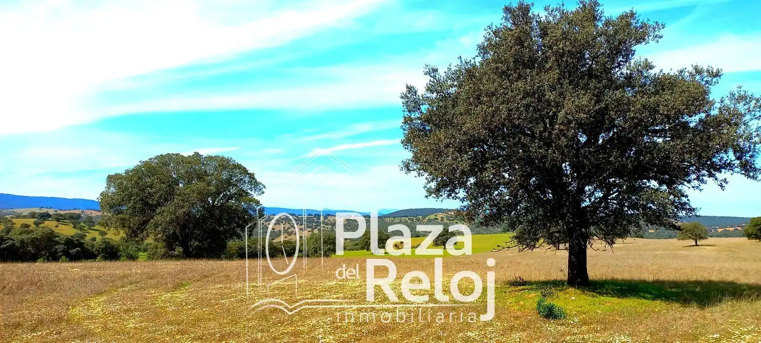 Terreno rustico in vendita a CERVANTES 0, imagen 26