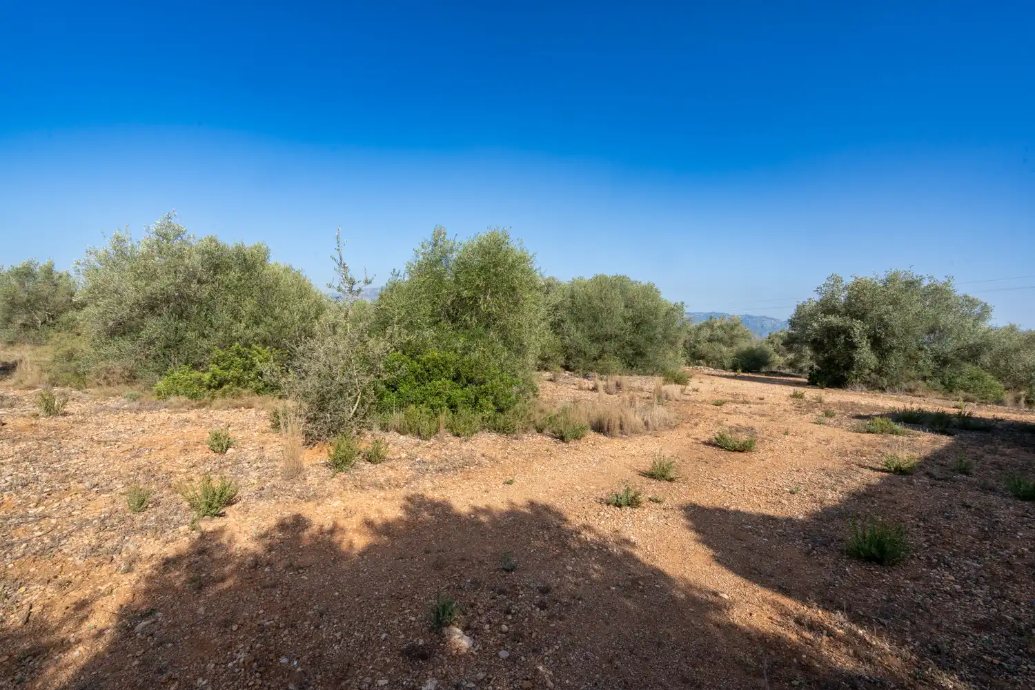 Rural land for sale in Vinallop, imagen 7
