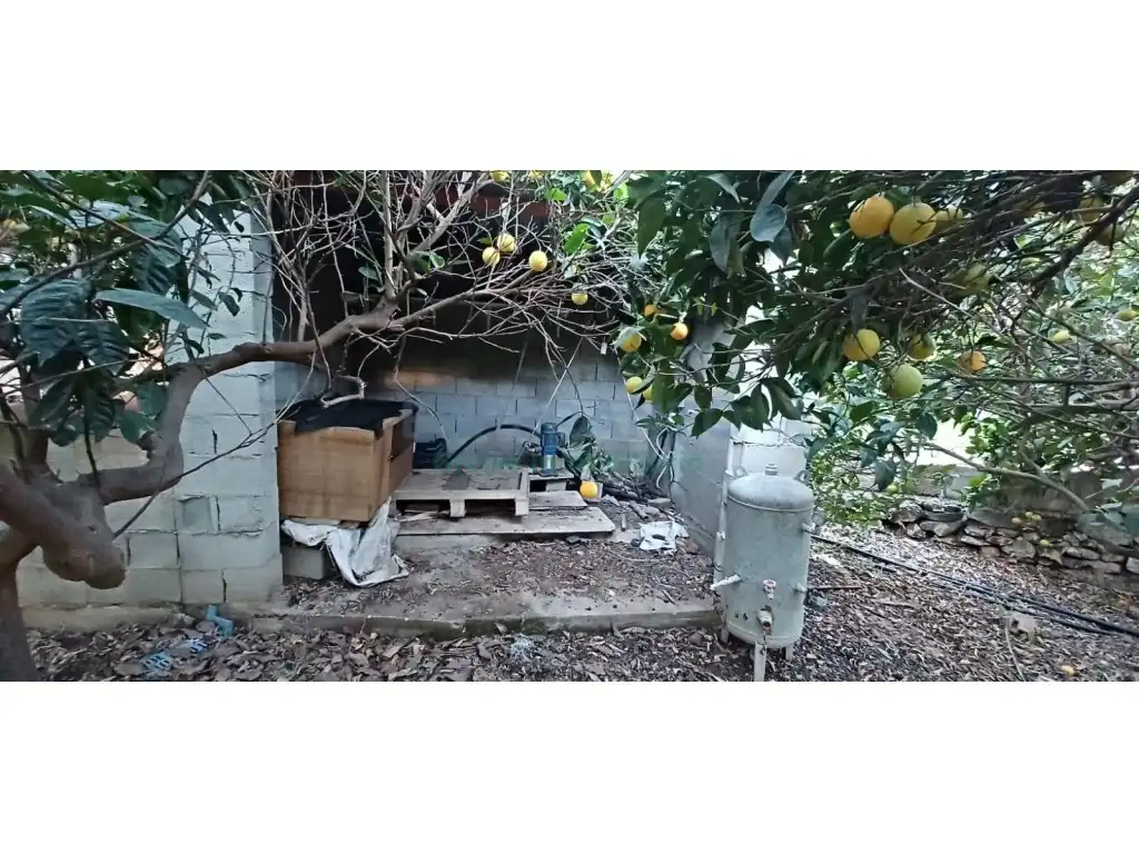 Jardín de Finca rústica en venta en Totalán con Jardín privado