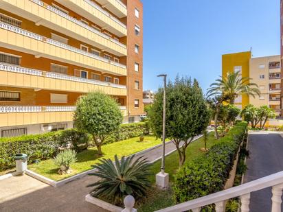 Vista exterior de Apartament en venda en Torrevieja amb Terrassa