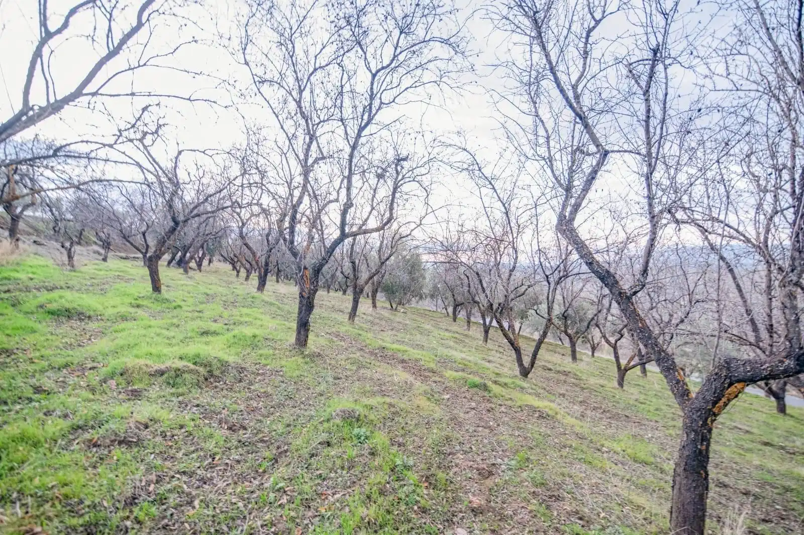 Mini appartamento in vendita a Pinos Genil, imagen 9
