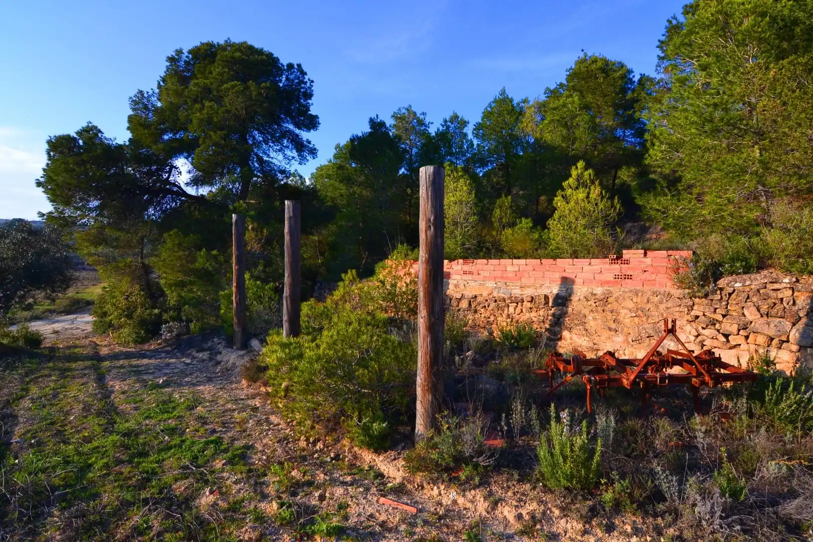 Rural land for sale in Corbera d'Ebre, imagen 16