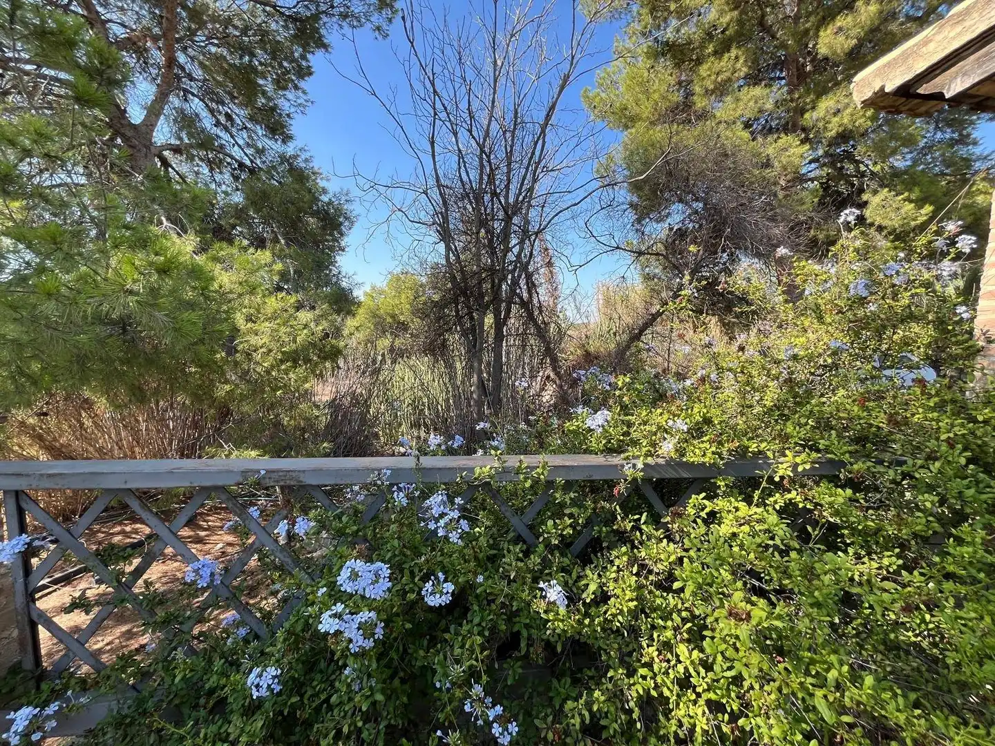 Villa avec jardin à vendre à Partida Carretera de Aspe a Santa Pola, imagen 47