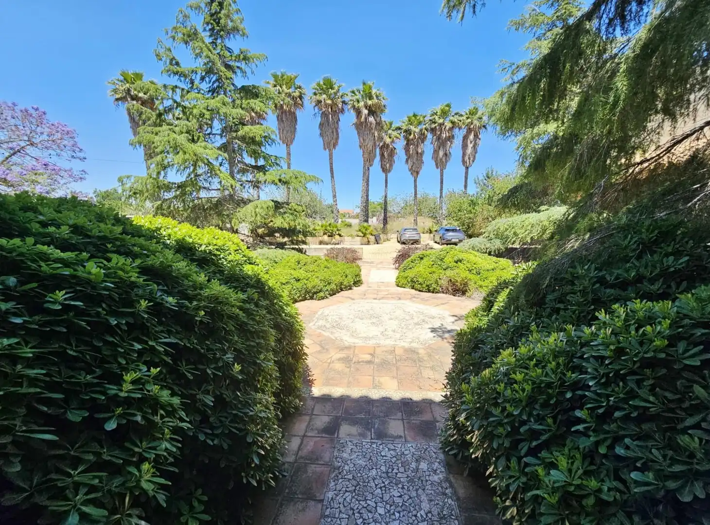 Jardí de Casa o xalet en venda en Elche / Elx amb Aire condicionat, Calefacció i Jardí privat
