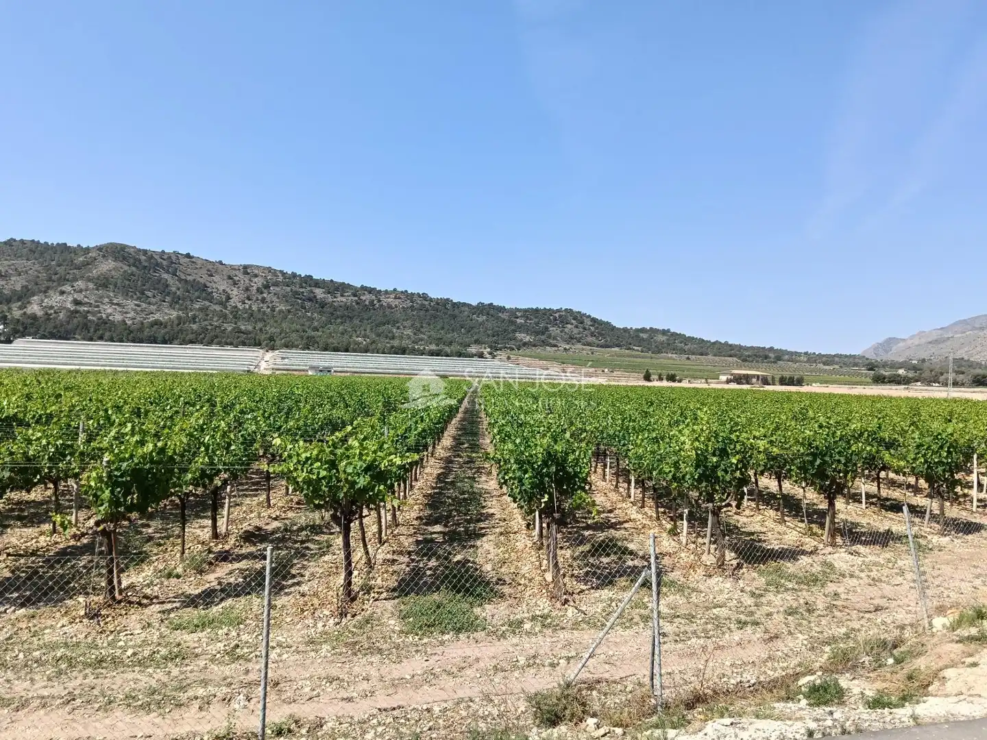 Rustikales Grundstück zum Verkauf in Pedanías Oeste, imagen 18