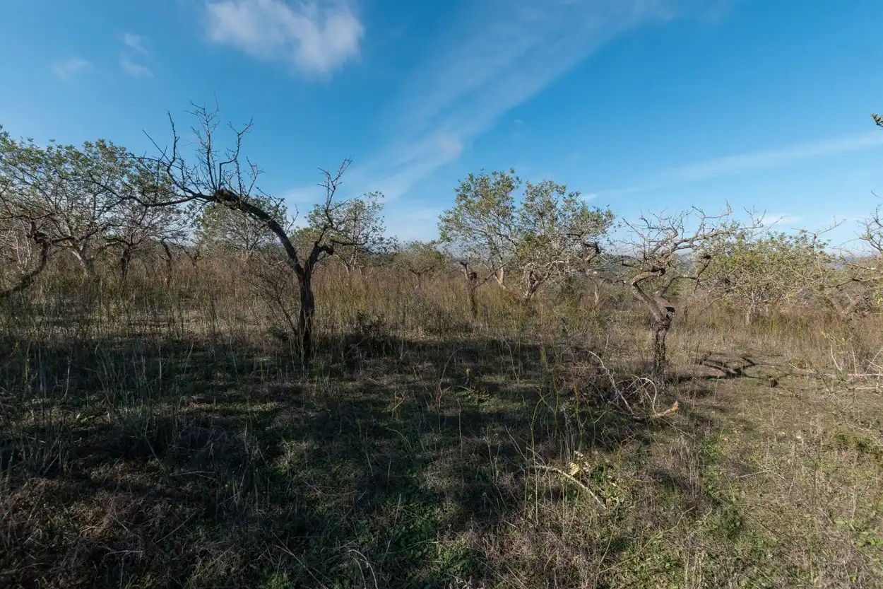 Country house for sale in El Perelló, imagen 8