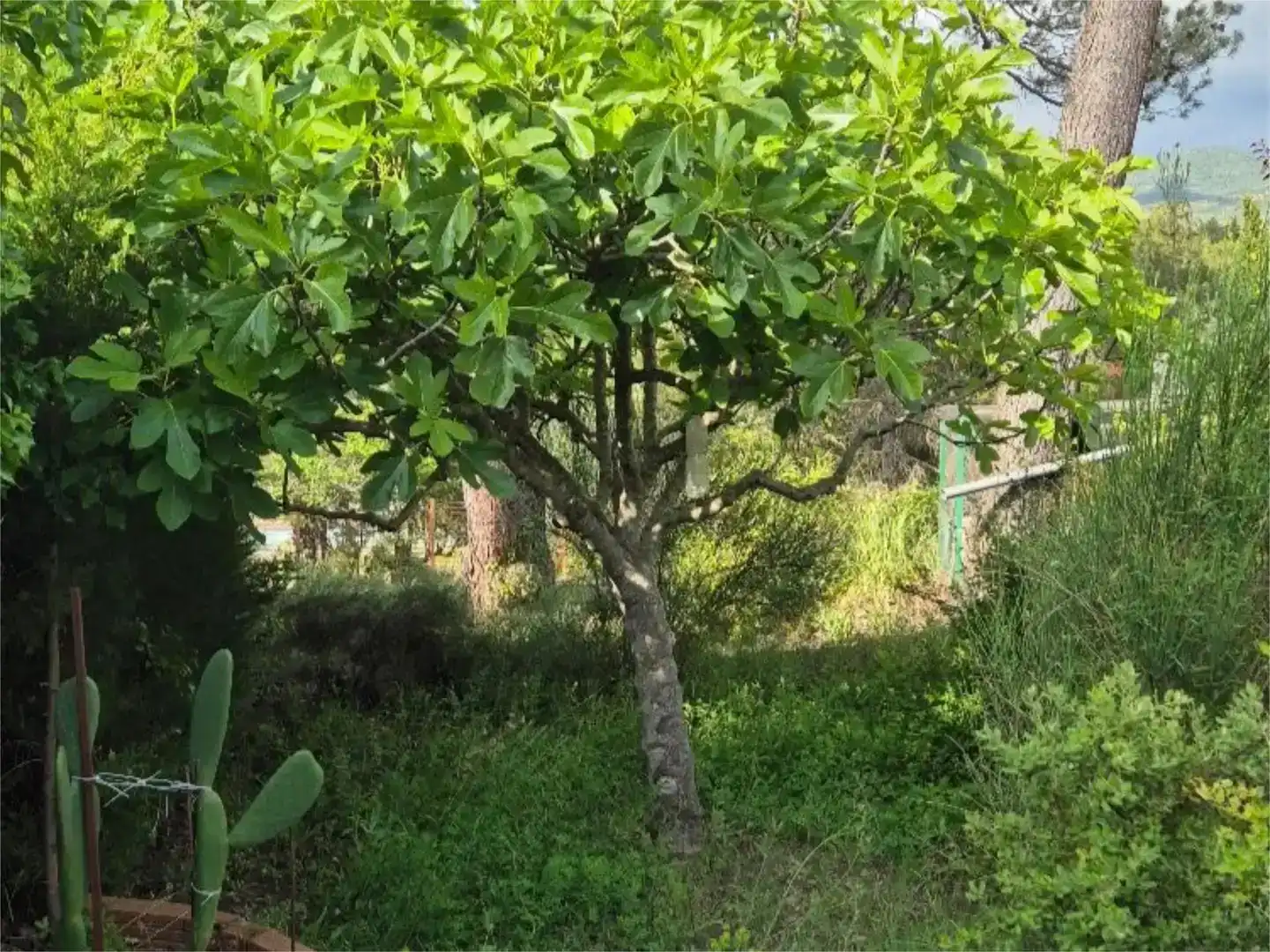 Jardín de Piso en venta en Sant Llorenç Savall, Barcelona