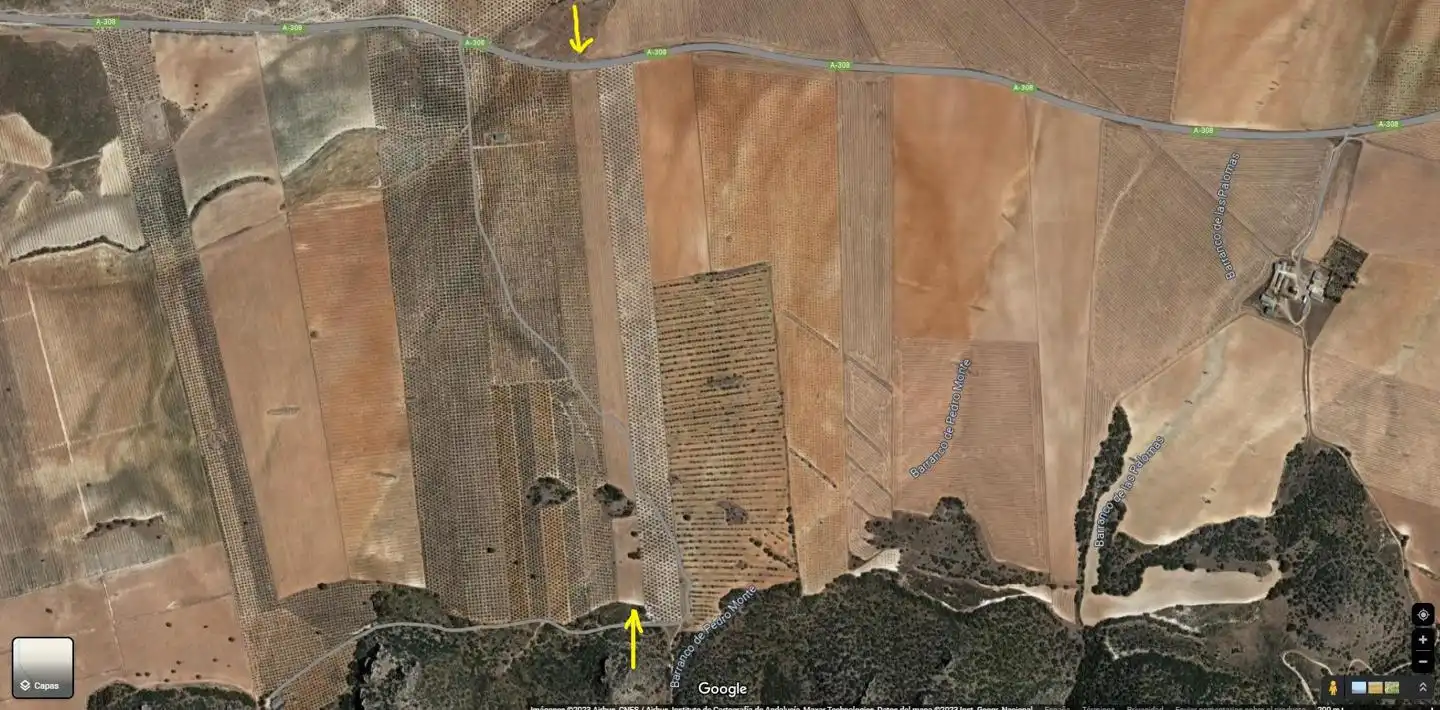 Terreny rústic en venda a De Bogarre A Darro Km 22 22, imagen 7