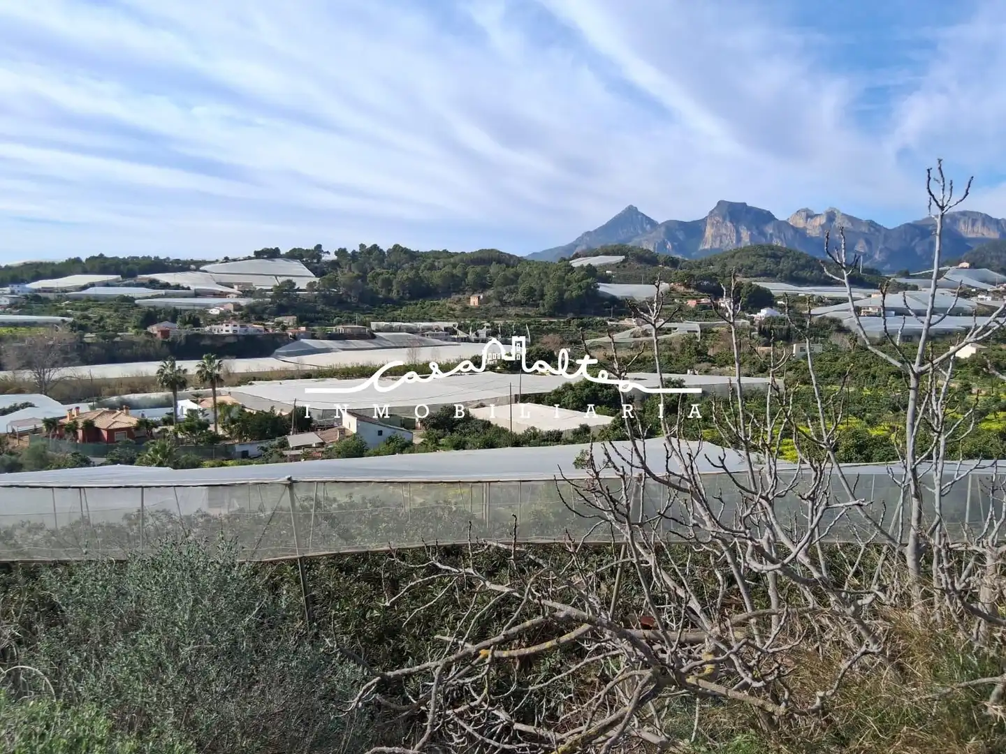 Houses for sale in Callosa d'en Sarrià