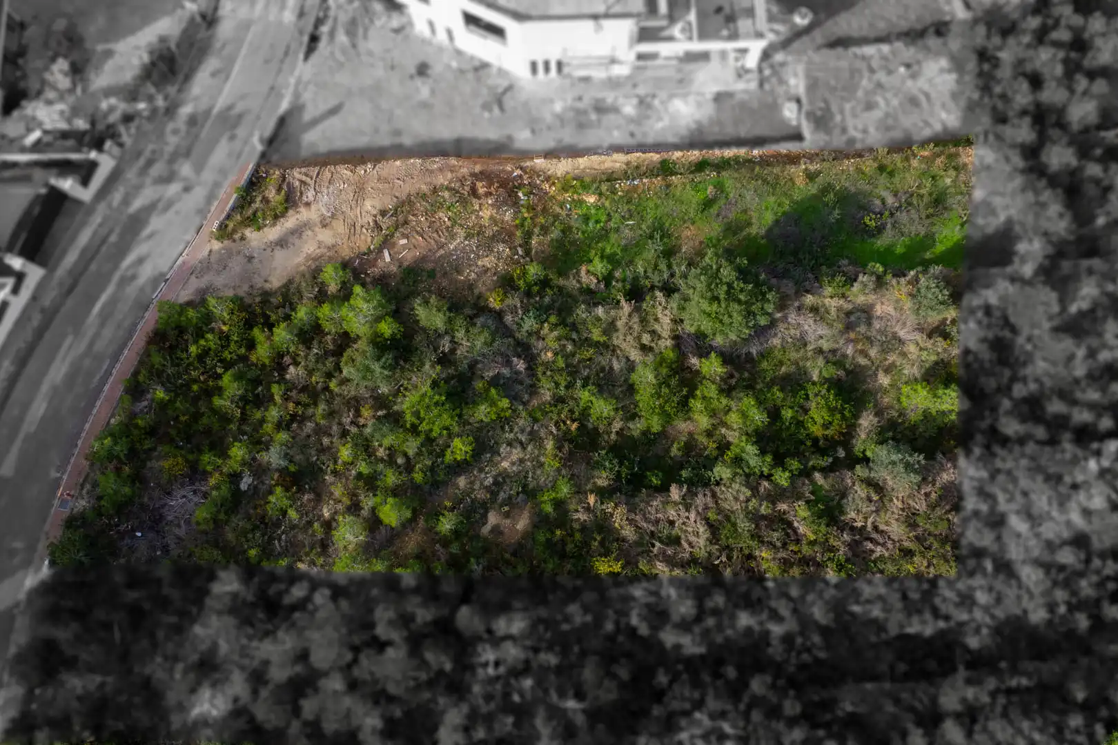 Terreny residencial en venda a Cap Martí - El Tossalet - Pinomar, imagen 7
