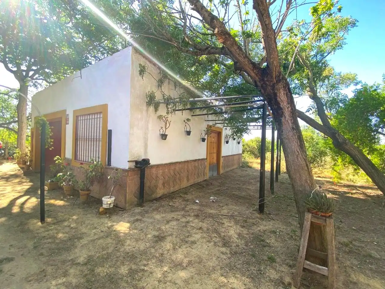 Vista exterior de Casa o xalet en venda en Alcalá de Guadaira amb Jardí privat, Terrassa i Piscina