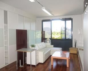 Living room of Study to rent in Las Rozas de Madrid  with Air Conditioner, Heating and Parquet flooring