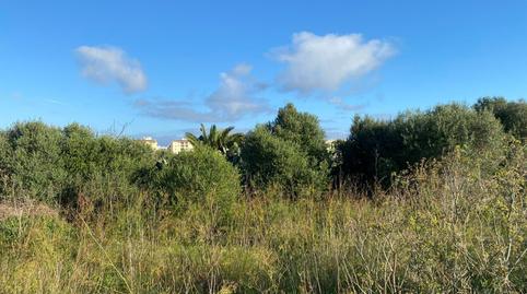 Photo 2 of Residential for sale in Centre Històric, Illes Balears