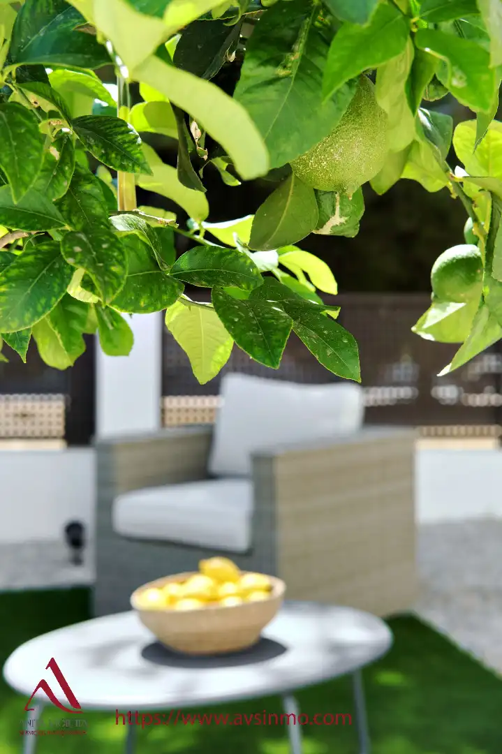 Terrace of Houses for rent in San Pedro del Pinatar  with Air Conditioner, Private garden and Furnished