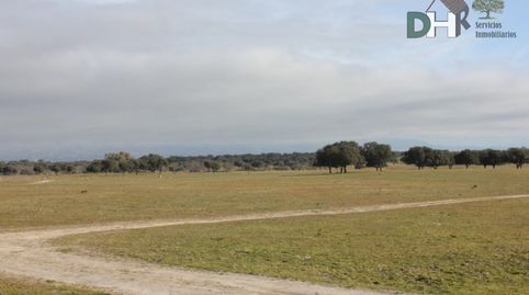 ToledoTerreno, imatge 3