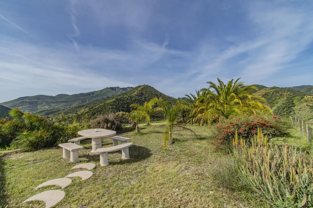 Chalet con piscina en venta en Calle Málaga, imagen 27