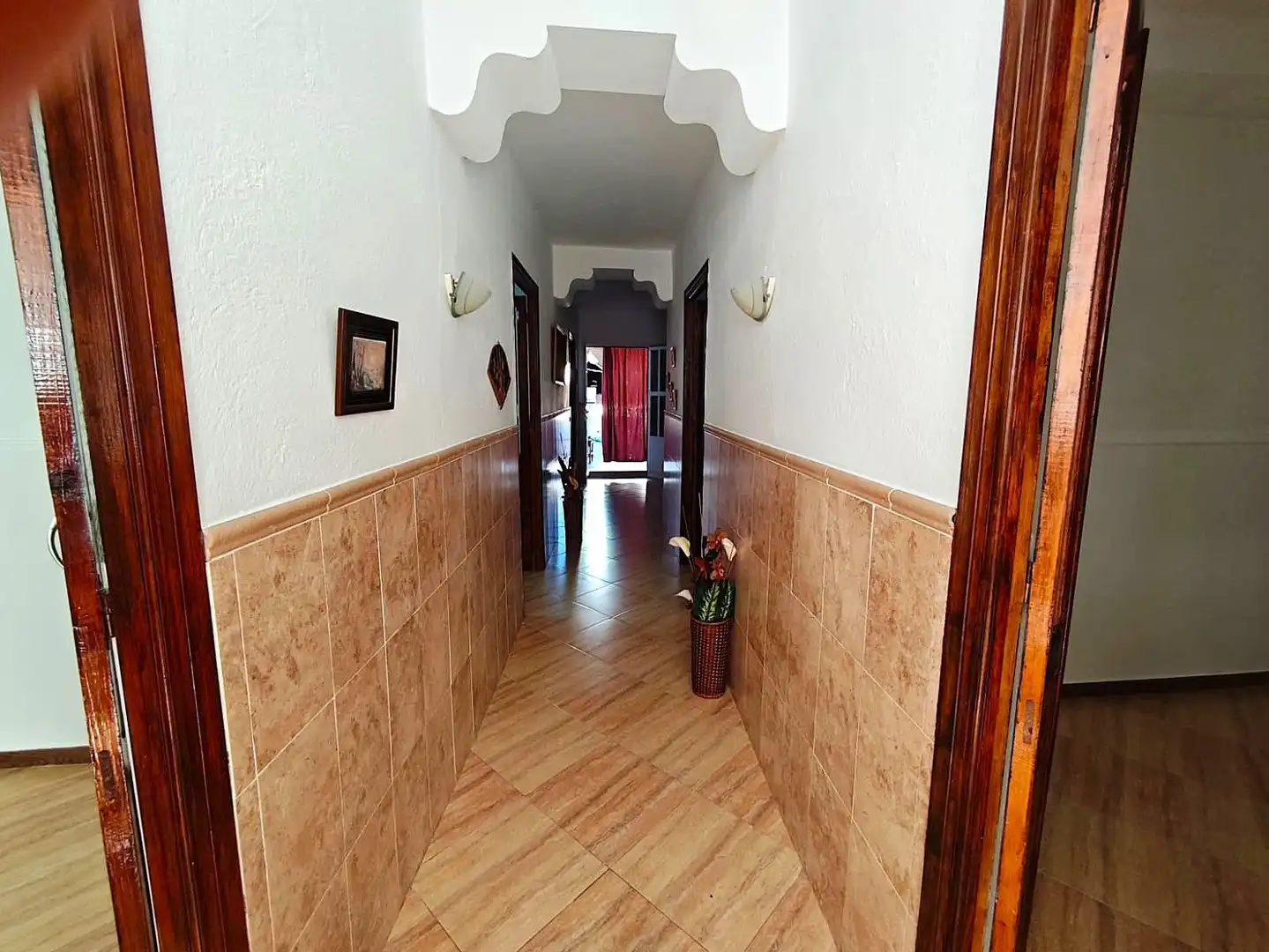 Houses for sale in Calamonte