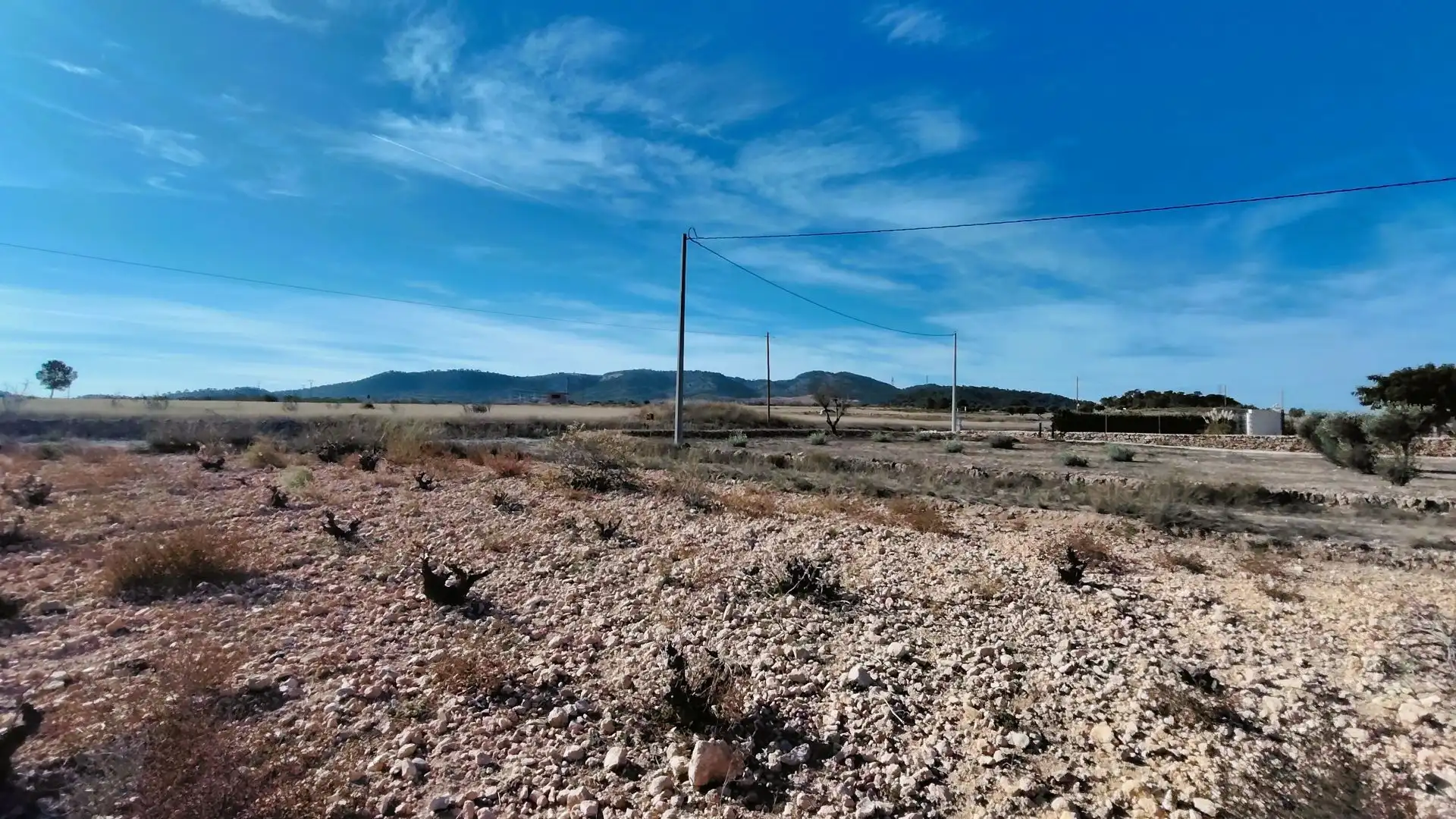 Lands and plots for sale in Abanilla, imagen 22