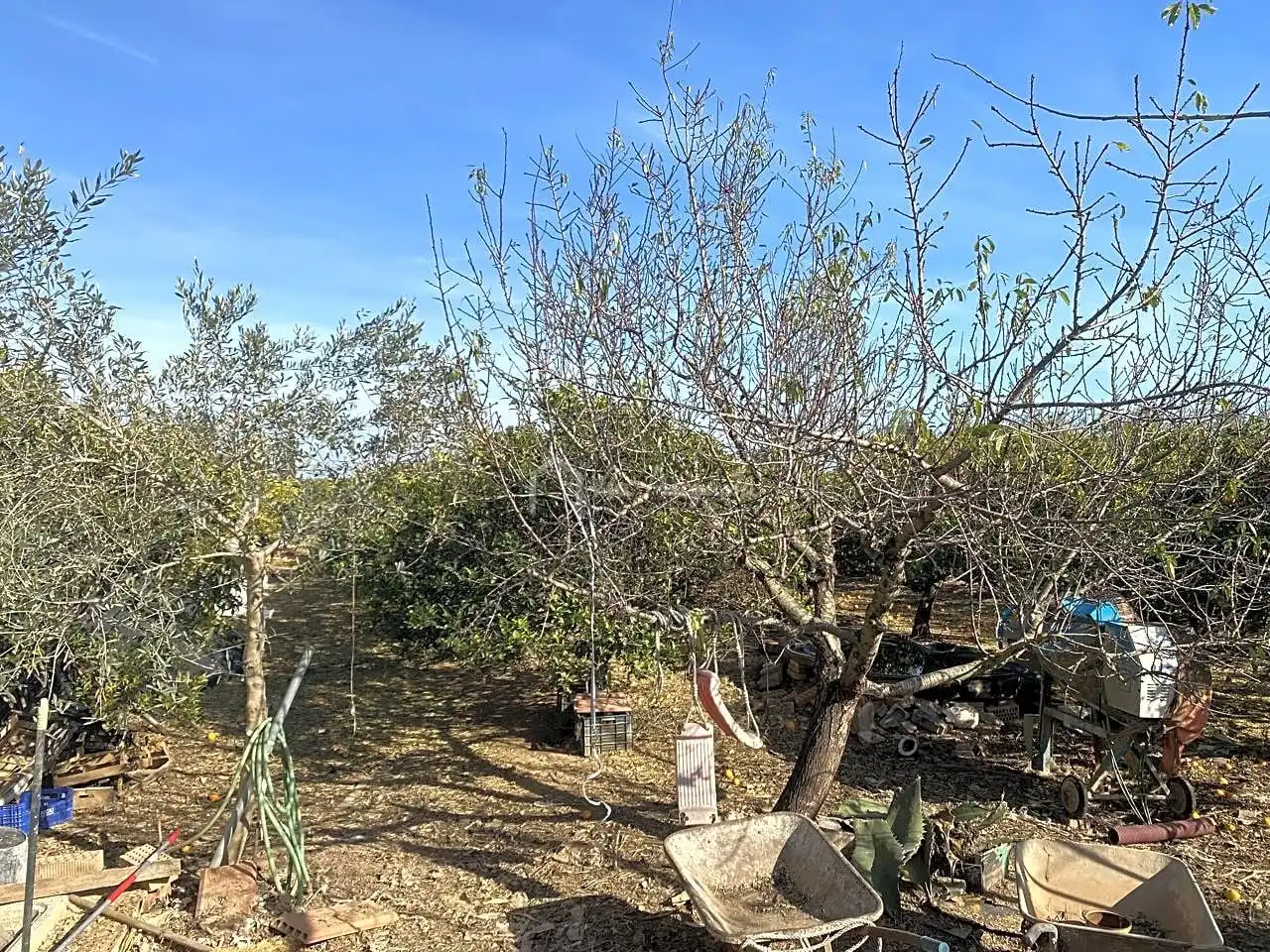 Casa rústica con piscina en venta en Casella, imagen 46