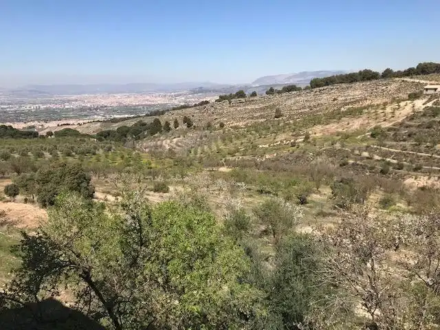 Grundstücke zum Verkauf in La Zubia