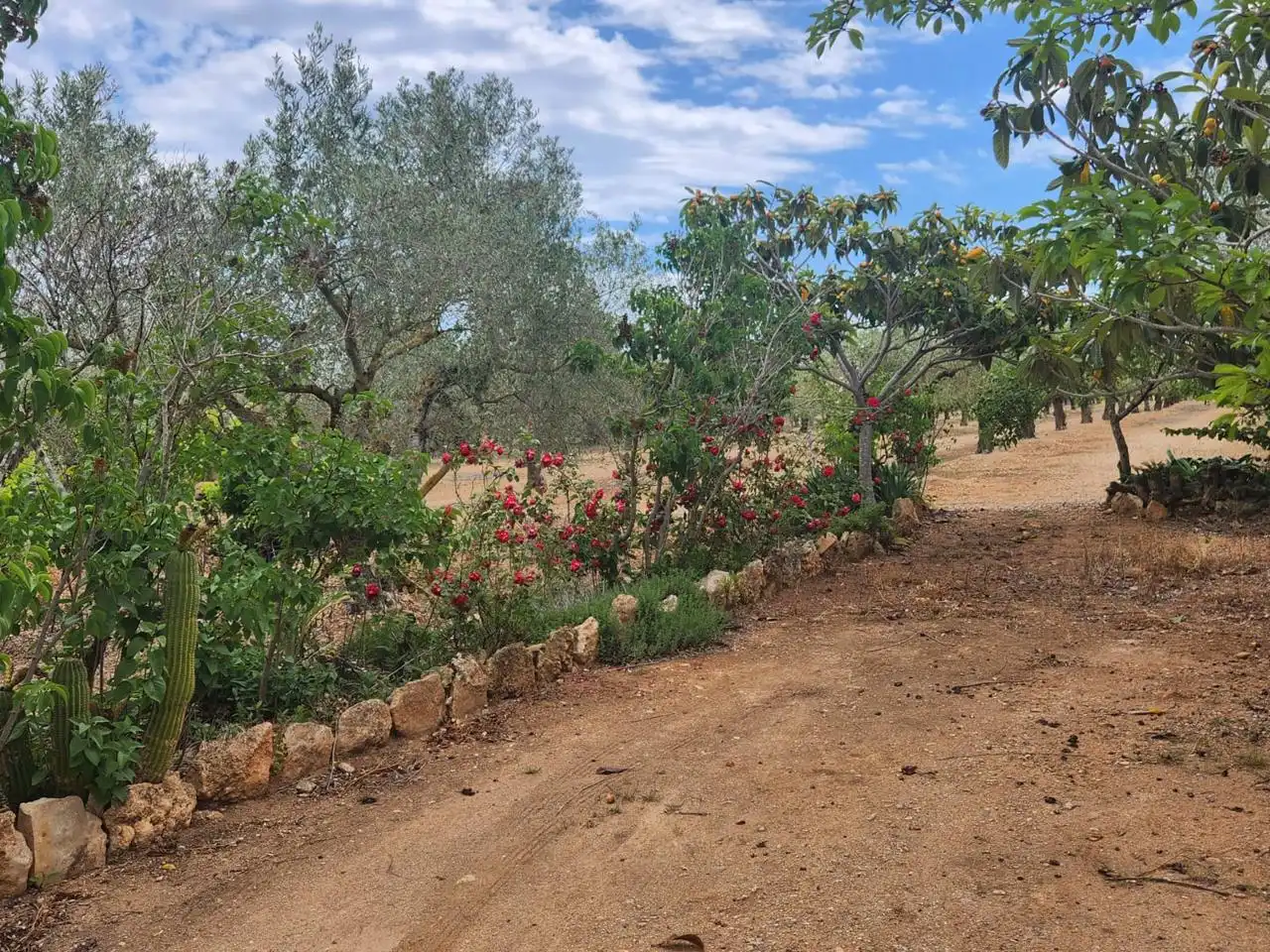 Casa rustica con giardino in vendita a Burgà, imagen 21