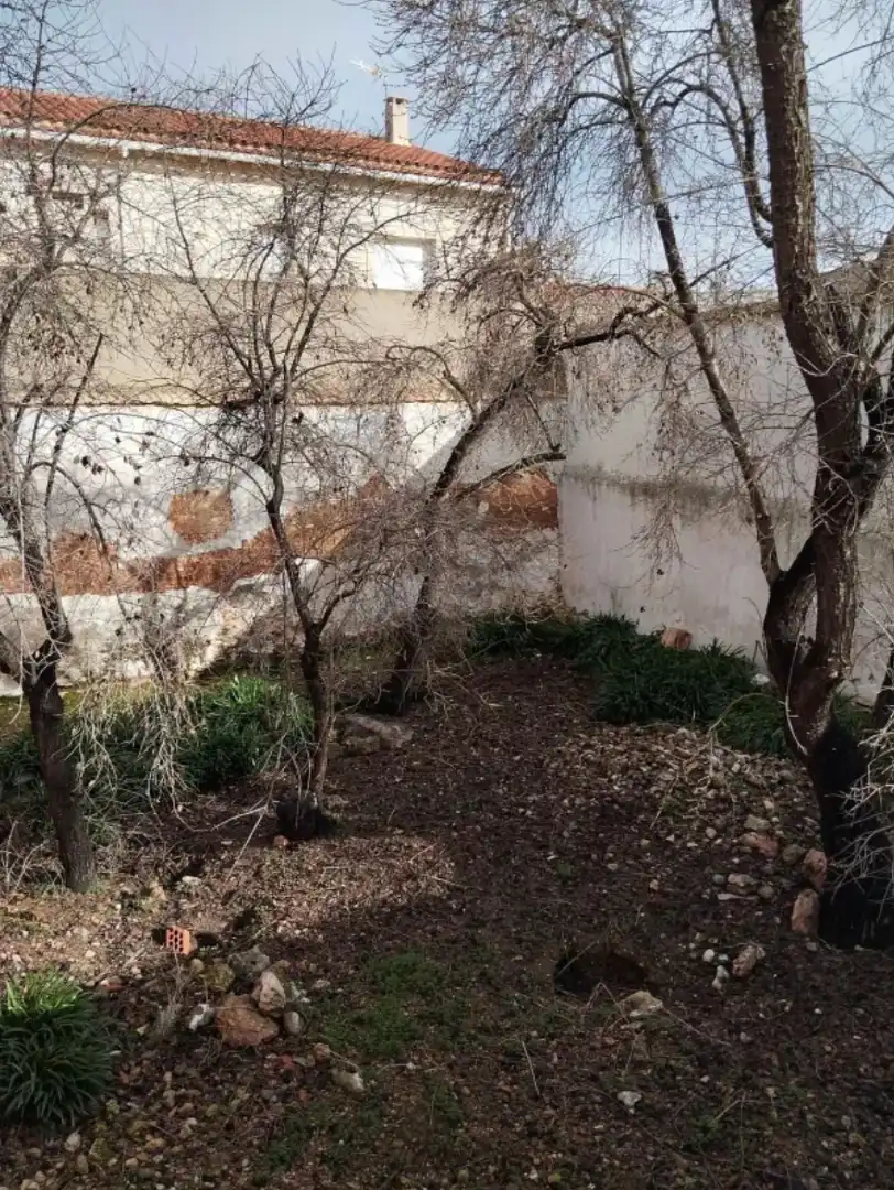 Jardí de Casa adosada en venda en Pedro Muñoz