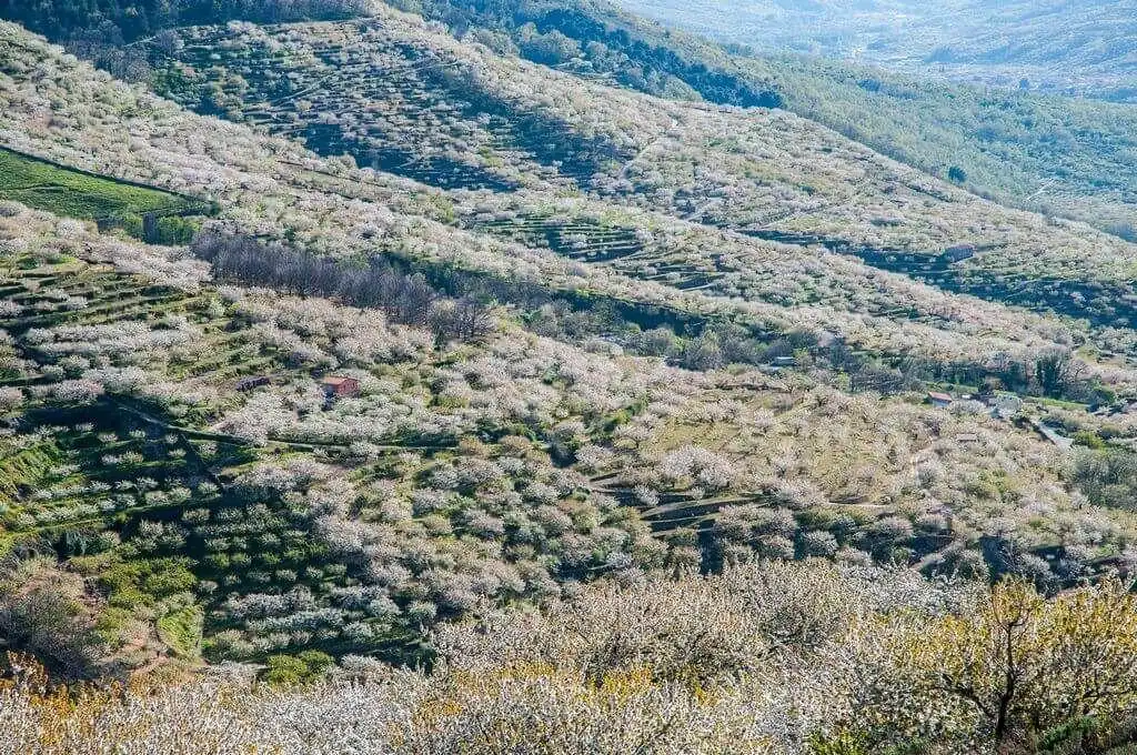 Casa o xalet en venda en Navaconcejo amb Aire condicionat, Calefacció i Forn