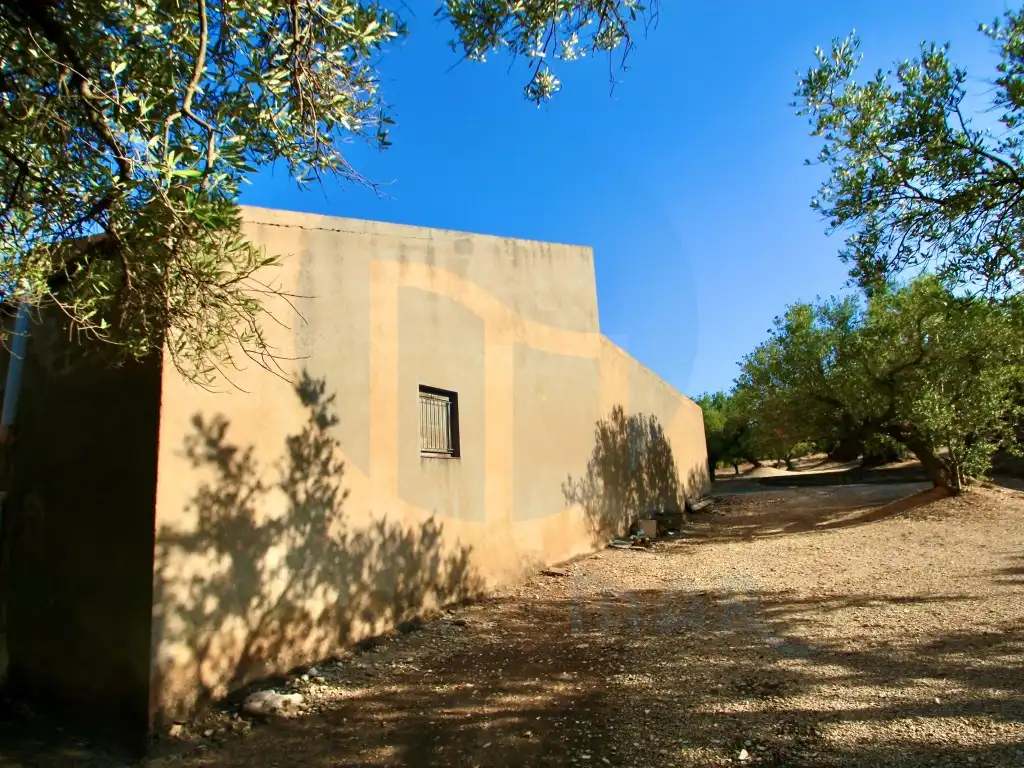 Vista exterior de Finca rústica en venta en Roquetes