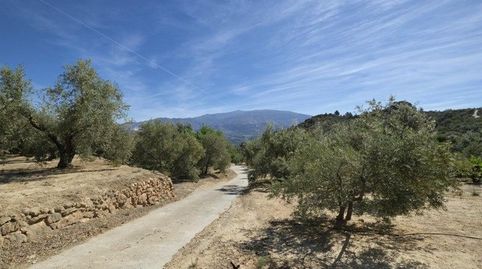 FINCA DE REGADÍO EN SALERES, immagine 3