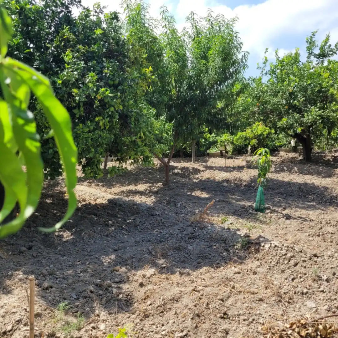 Terrenos y solares en venta en Orxeta, imagen 5