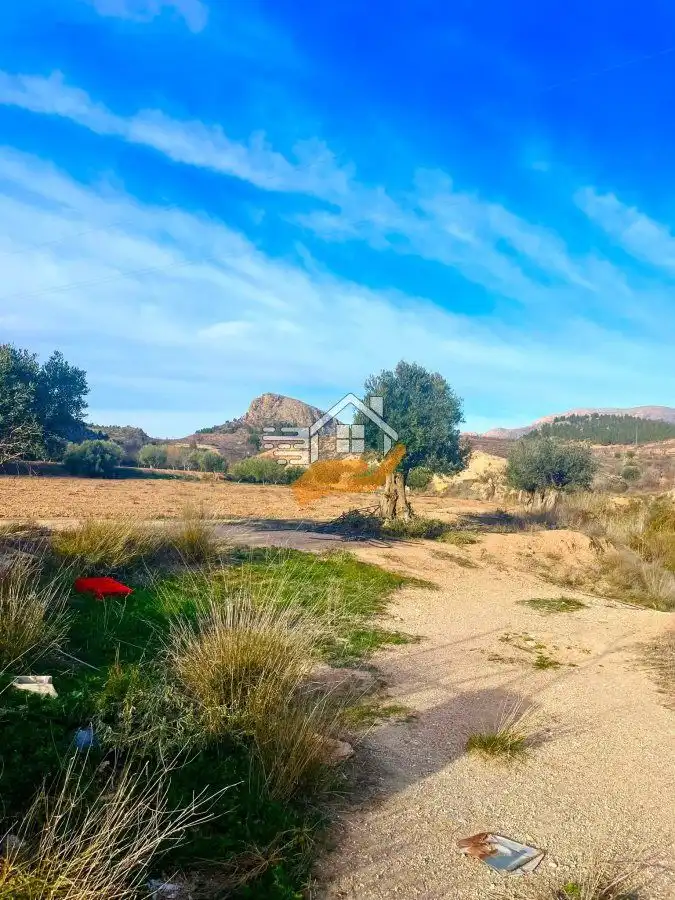 Terrenos y solares en venta en Vélez-Rubio, imagen 2