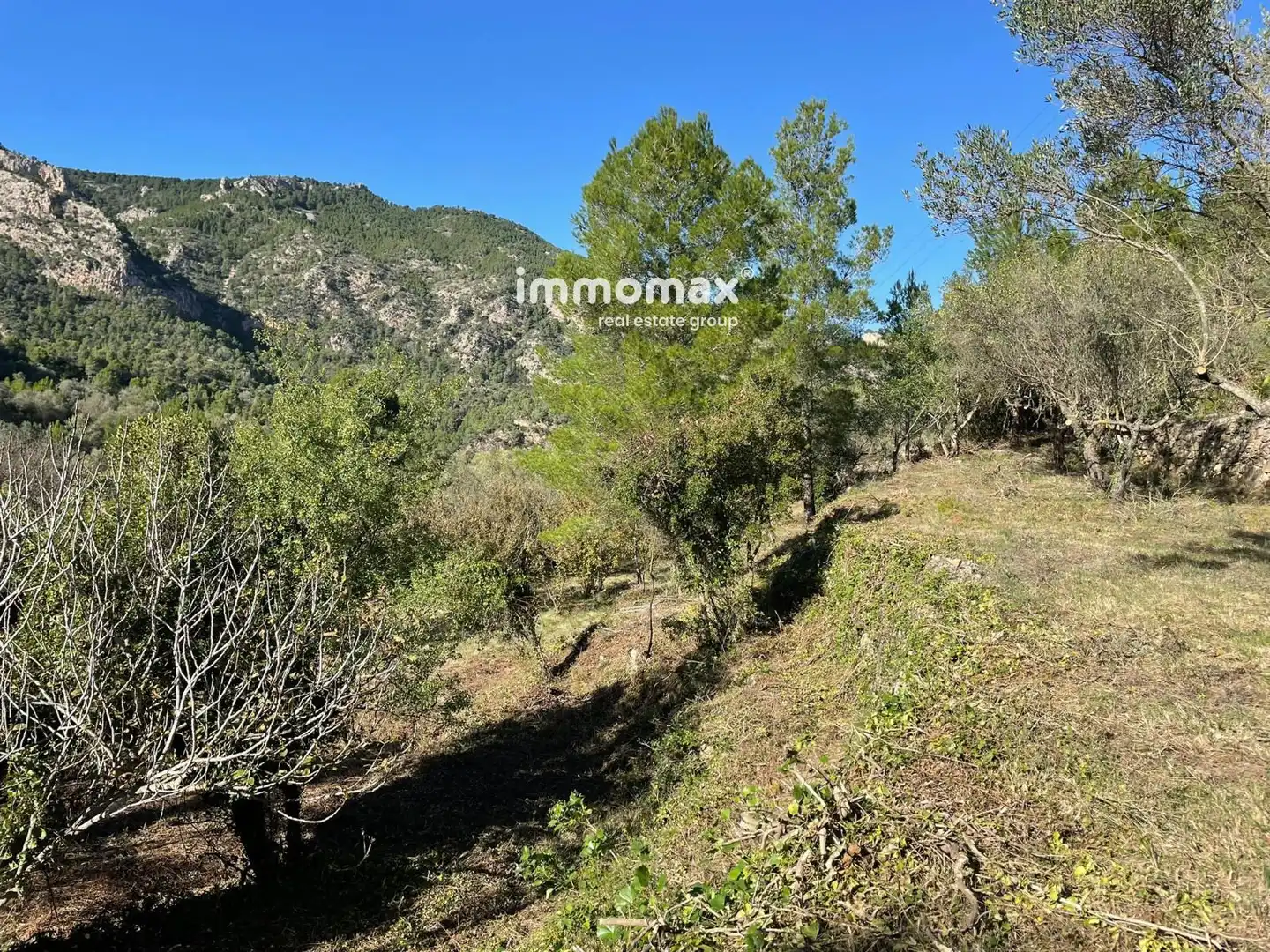 Wohnbaugrundstück zum Verkauf in valldembages, imagen 19