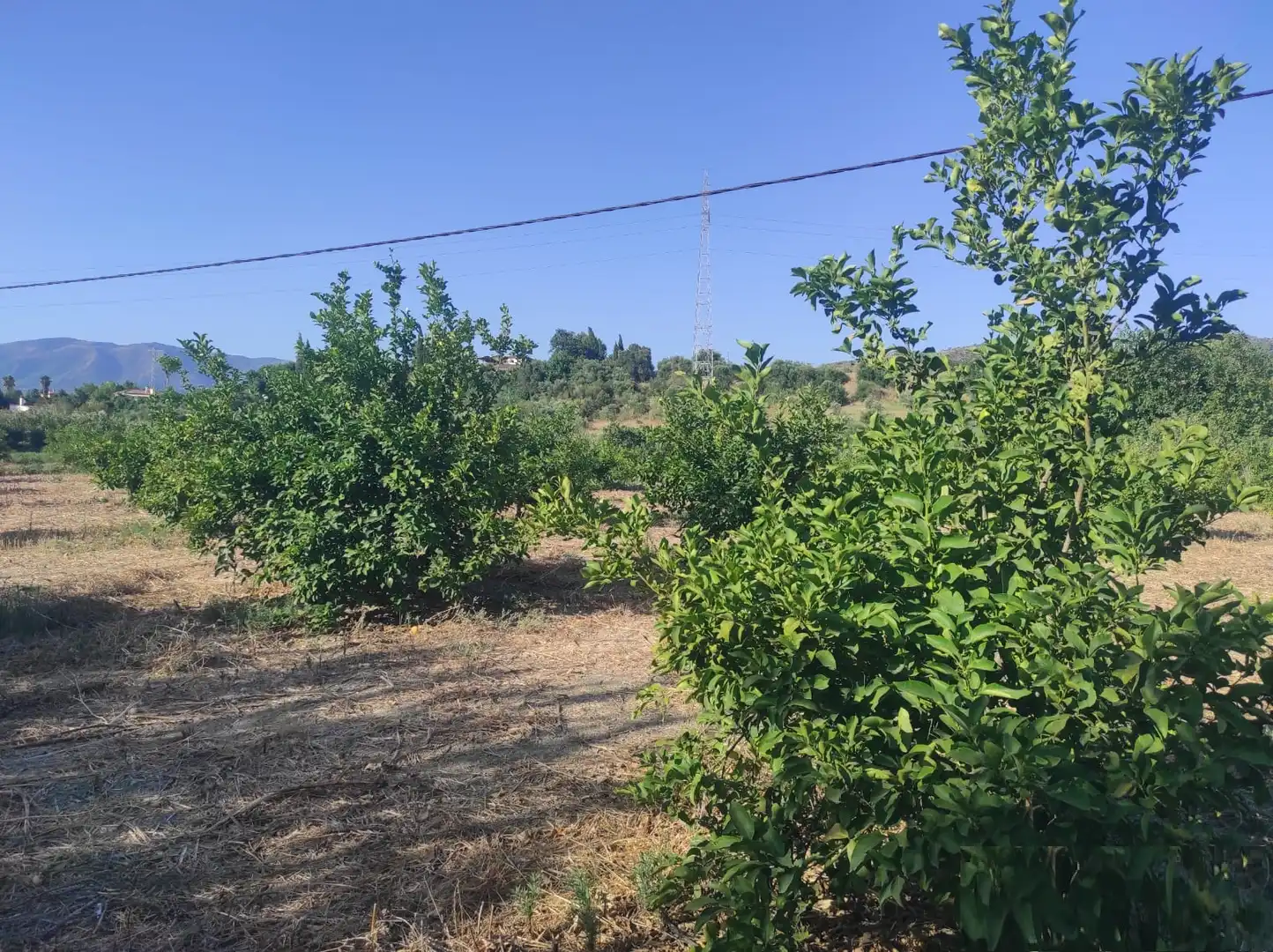 Terreno rustico in vendita a Villafranco del Guadalhorce, imagen 7