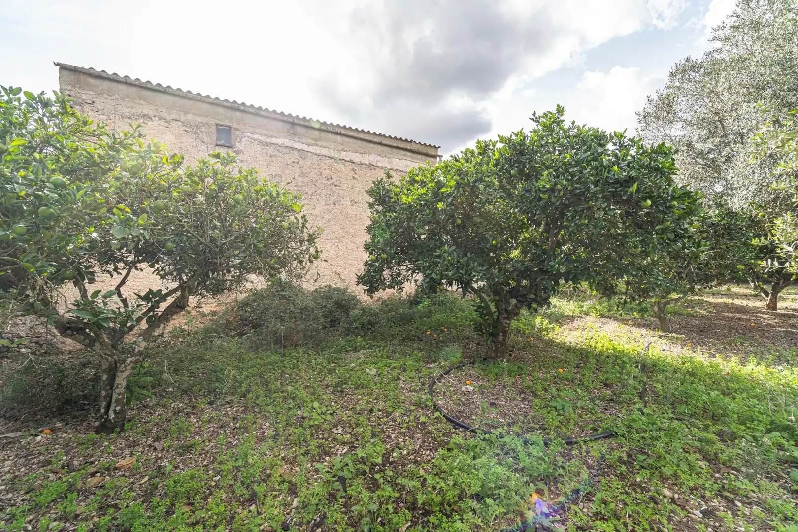 Maison rustique avec jardin à vendre à Son Servera Poble, imagen 27
