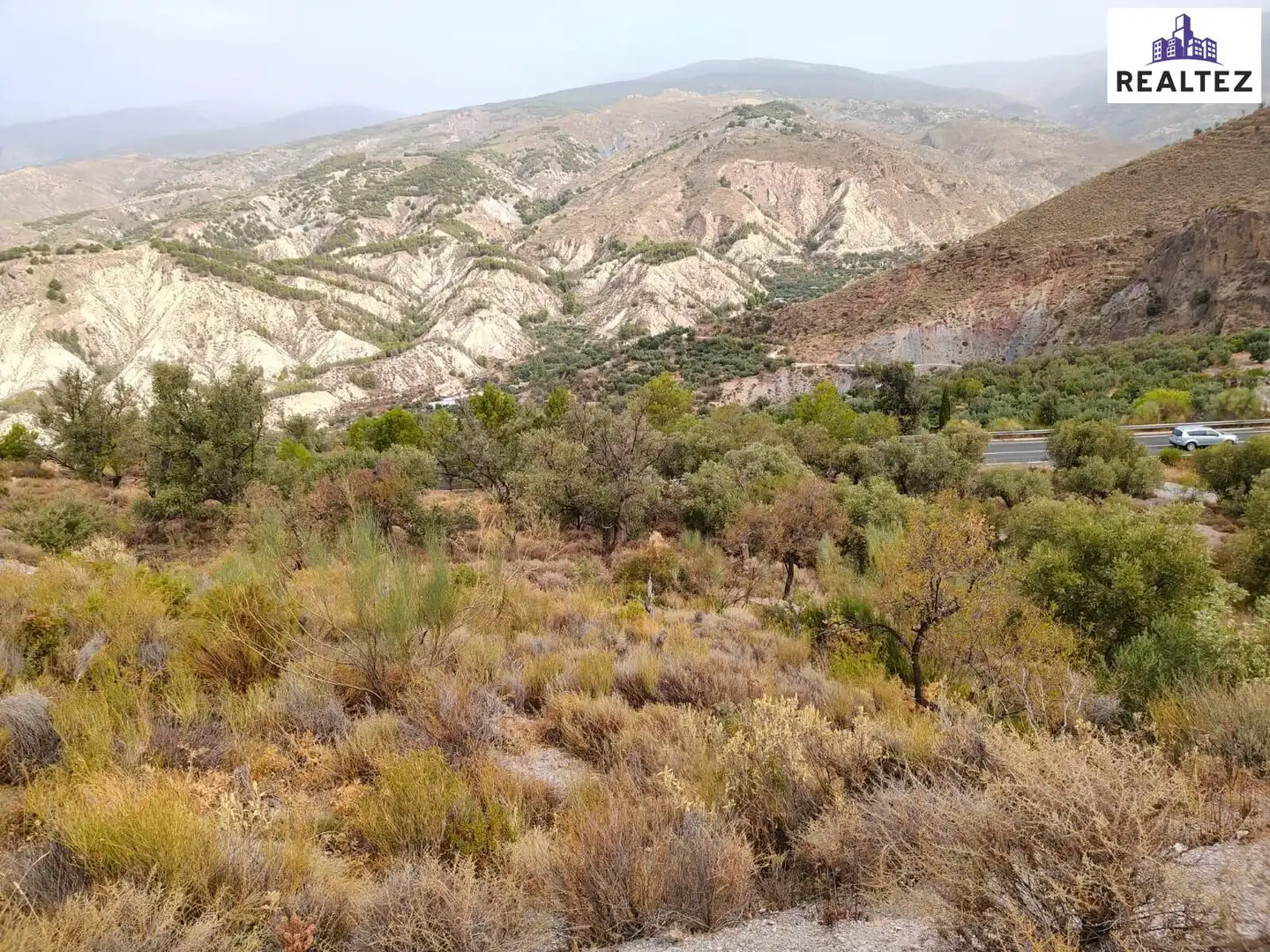 Terrain rustique à vendre à Alcolea, imagen 3