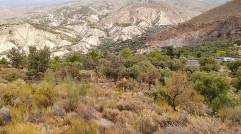 Terreno rústico en venta en Alcolea  7.971m2 en plena Alpujarra Almeriense., immagine 3