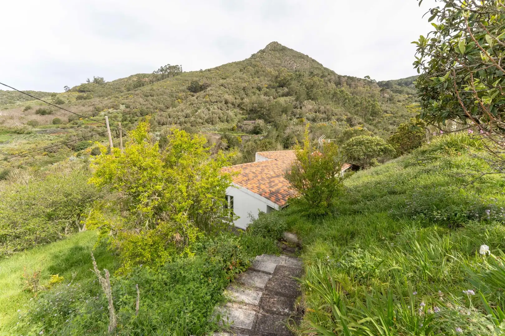 Casa o chalet de alquiler en Camino Camino del Monte, Tegueste