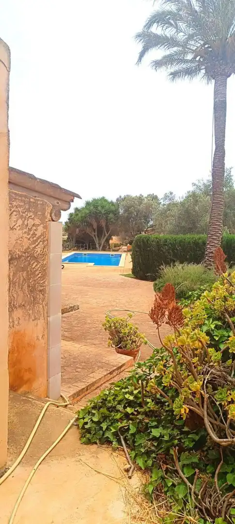 House with pool for sale in Vía de Servei, imagen 5