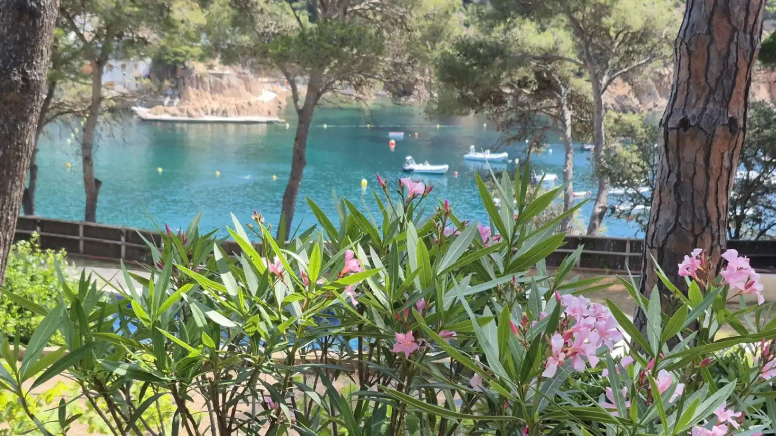 Casa o xalet en venda en Palafrugell