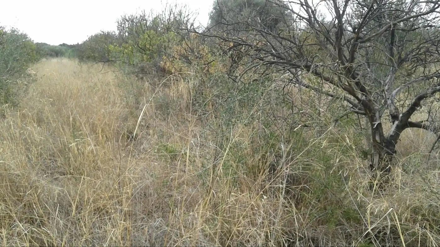 Terreny residencial en venda a Boverals - Saldonar, imagen 8