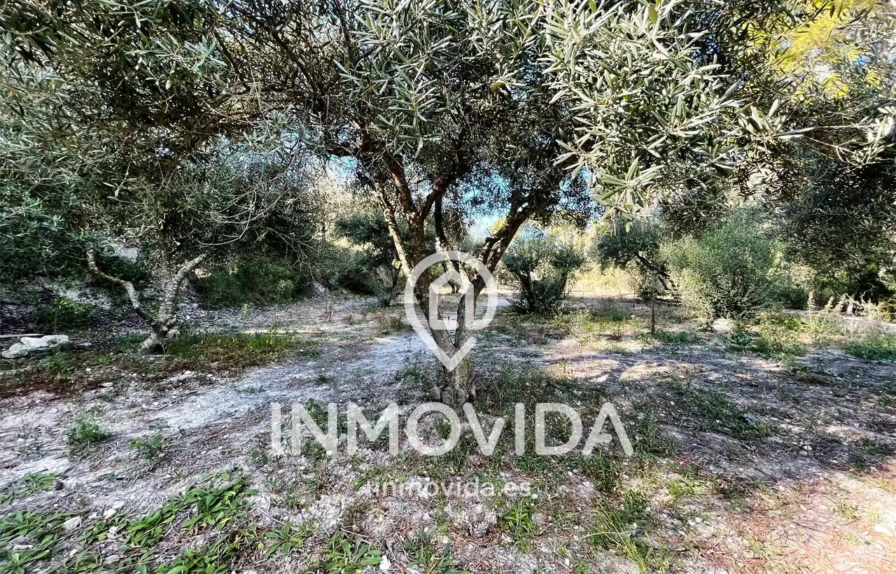 Casa o chalet en venta en R-9 Foies B Pol-16, 3, Xàtiva