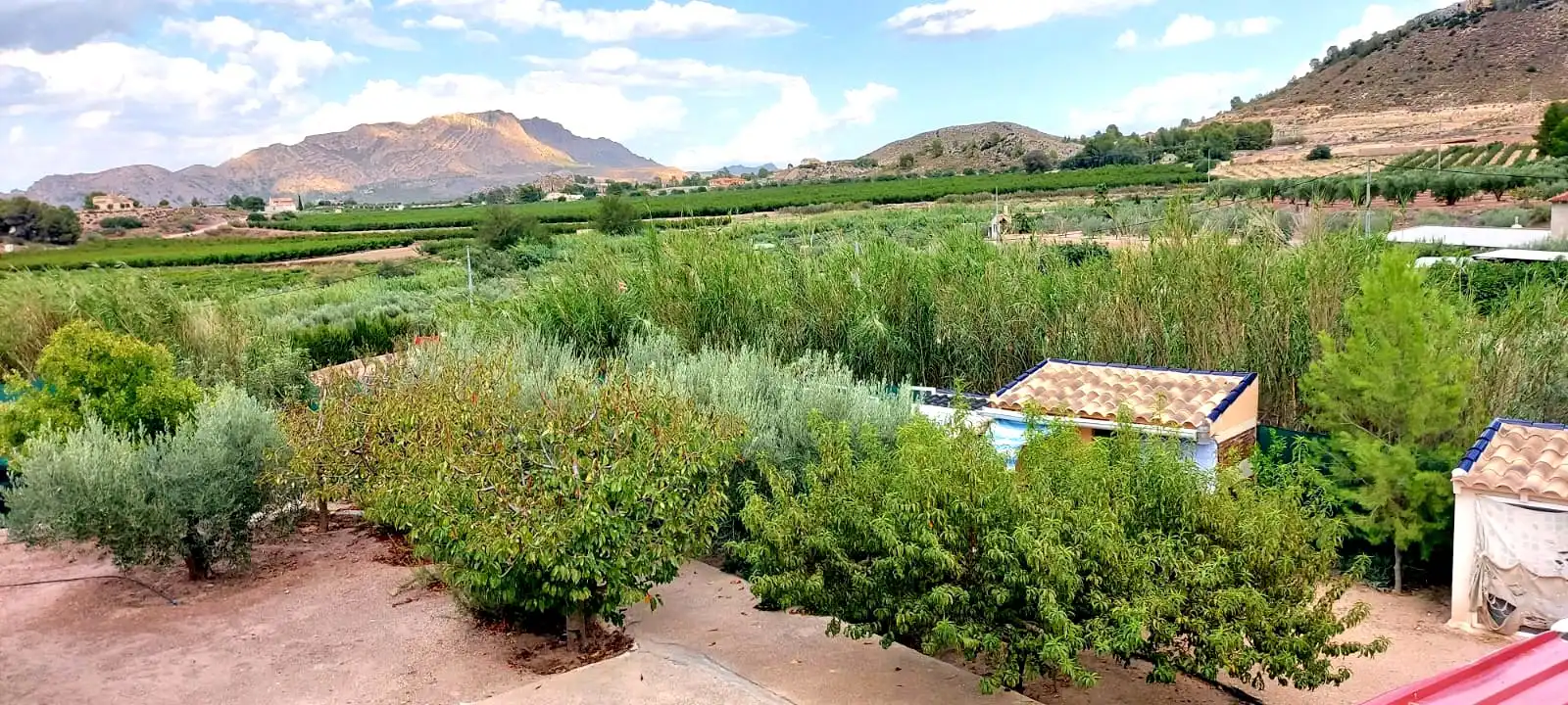 Chalet con terraza en venta en Calasparra, imagen 11