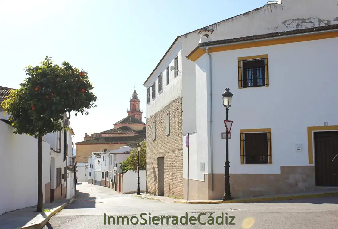 Terrenys i solars en venda a Algodonales