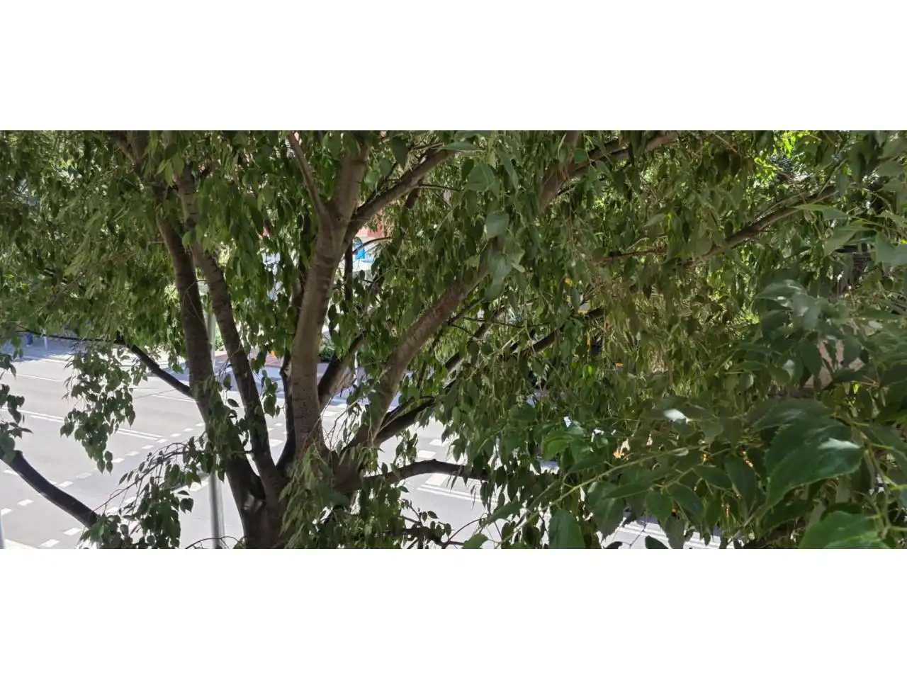 Vista exterior de Piso en venta en Granollers con Calefacción, Terraza y Amueblado