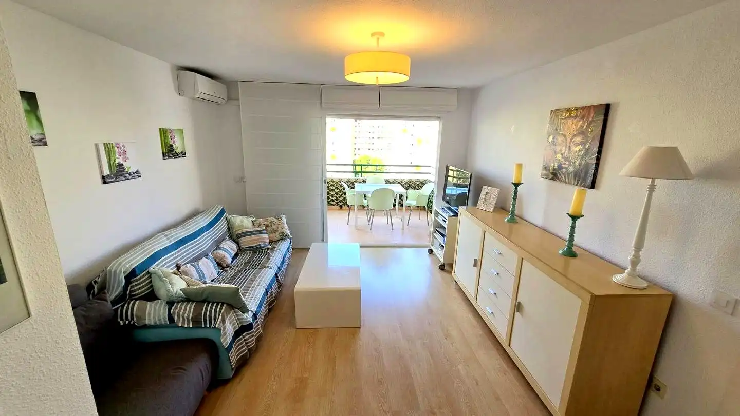 Sala d'estar de Apartament de lloguer en Gandia amb Aire condicionat, Parquet i Terrassa